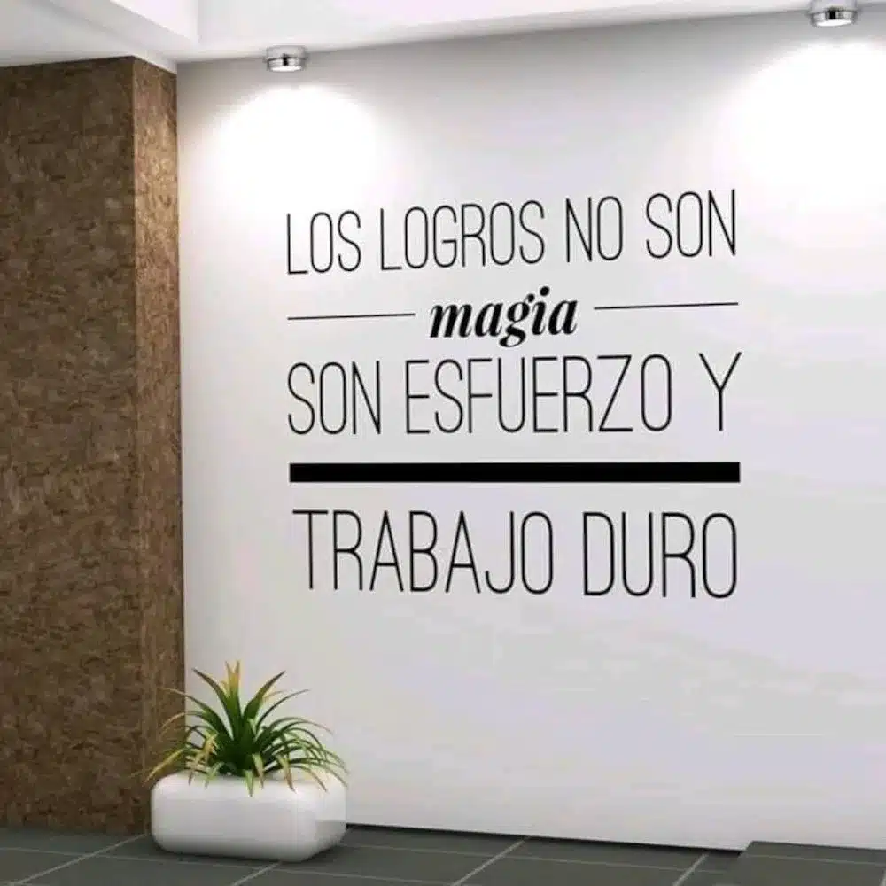 vinil decorativo adesivo